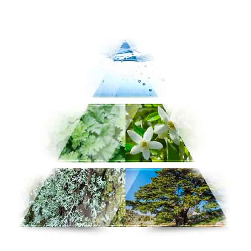 She is mine Eau de Parfum, 90 ml La rive